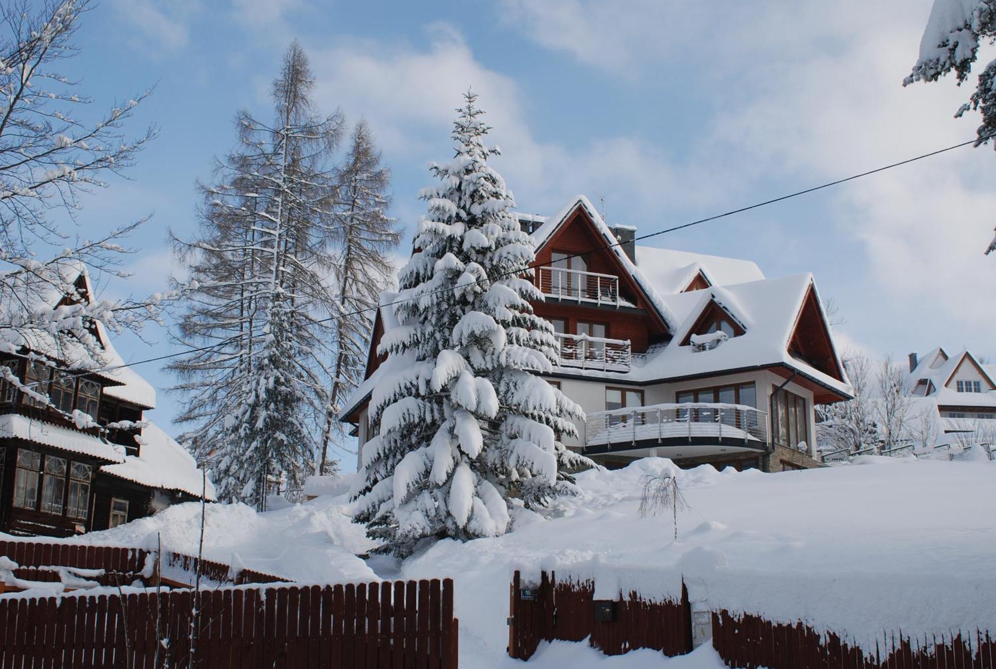Villa Park Bukowina Tatrzańska Dış mekan fotoğraf